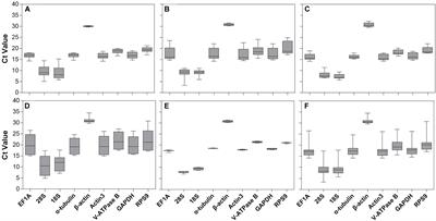 Selection of Reference Genes for RT-qPCR Analysis Under Extrinsic Conditions in the Hawthorn Spider Mite, Amphitetranychus viennensis